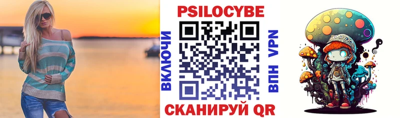 Купить где  Галич  Псилоцибиновые грибы Psilocybe 