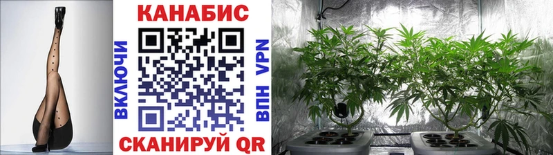 Канабис White Widow  Купить закладки  Галич 